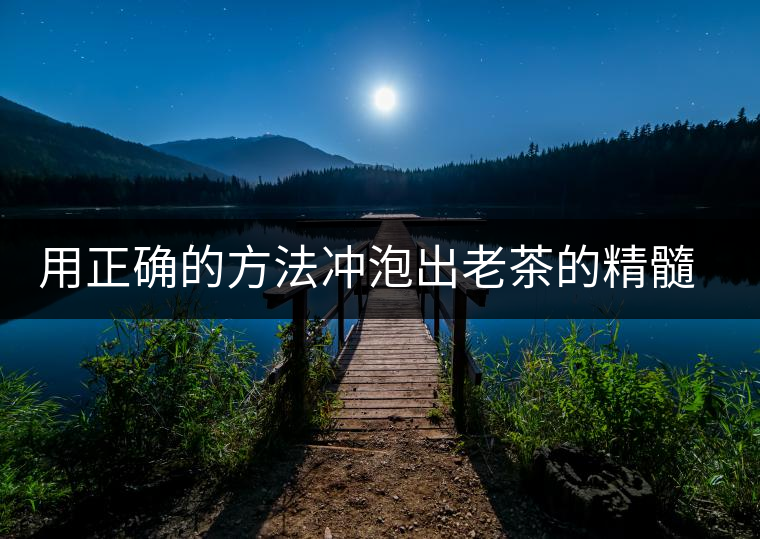 用正確的方法沖泡出老茶的精髓；評看普洱茶葉底也是一門手藝！