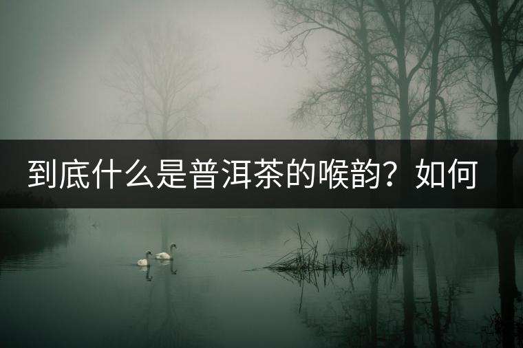 到底什么是普洱茶的喉韻？如何感受？