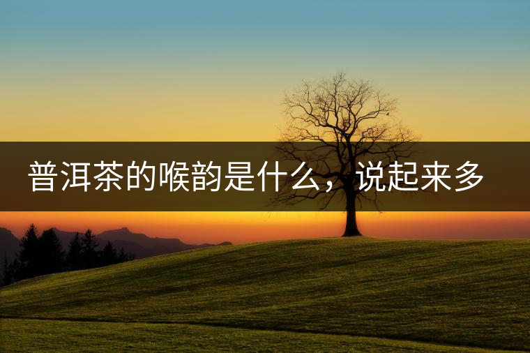 普洱茶的喉韻是什么，說(shuō)起來(lái)多少有點(diǎn)玄乎