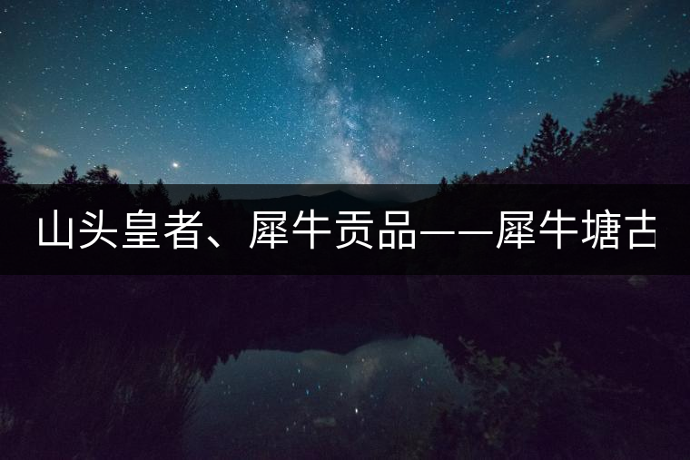 山頭皇者、犀牛貢品——犀牛塘古樹茶！