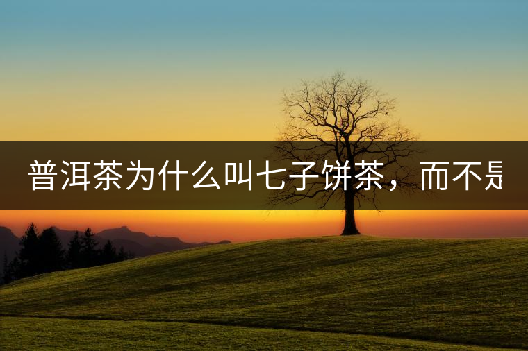 普洱茶為什么叫七子餅茶，而不是六子餅、八子餅......？