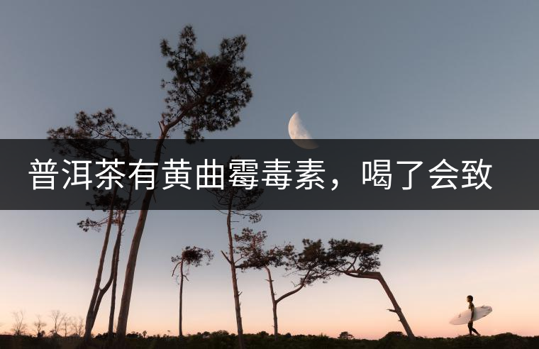 普洱茶有黃曲霉毒素，喝了會致癌？不黑不吹，咱用事實說話