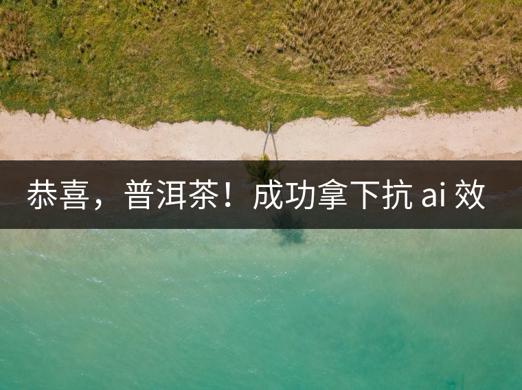 恭喜，普洱茶！成功拿下抗 ai 效果第二名！