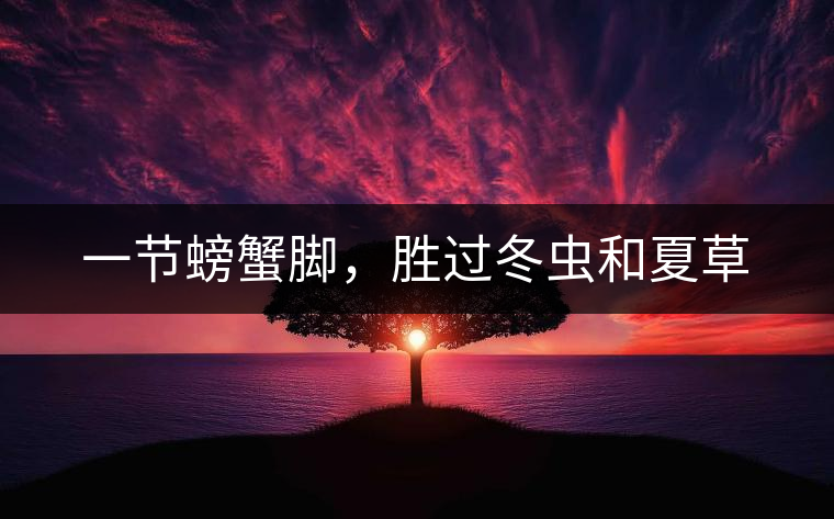 一節(jié)螃蟹腳，勝過(guò)冬蟲(chóng)和夏草