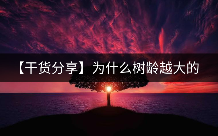 【干貨分享】為什么樹(shù)齡越大的普洱生茶，苦味越容易化掉？