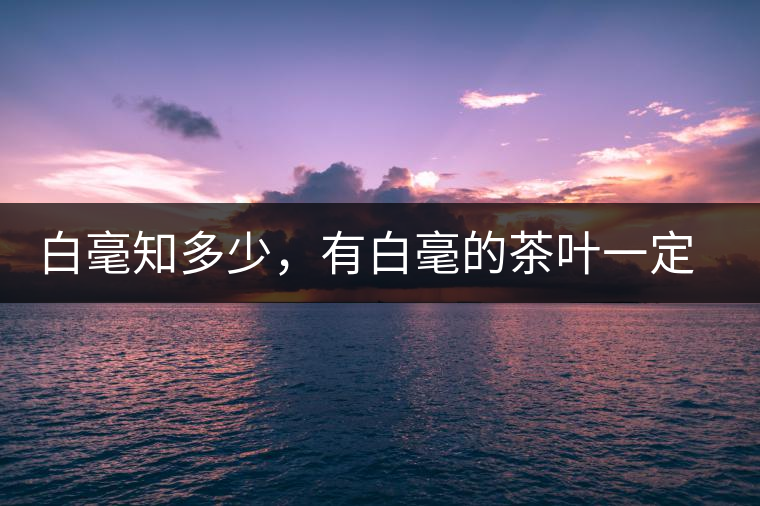白毫知多少，有白毫的茶葉一定好嗎？