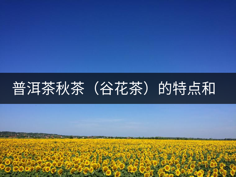普洱茶秋茶(谷花茶)的特點(diǎn)和鑒別 普洱茶秋茶(谷花茶)的特點(diǎn)和鑒別