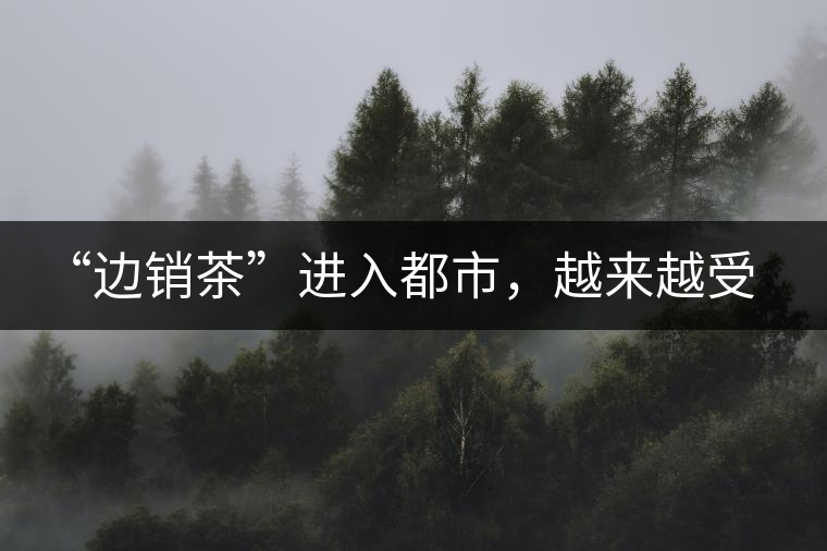 “邊銷茶”進(jìn)入都市，越來越受人們青睞