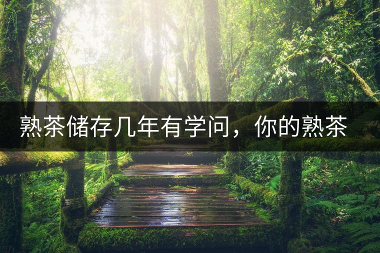 熟茶儲(chǔ)存幾年有學(xué)問，你的熟茶存幾年？