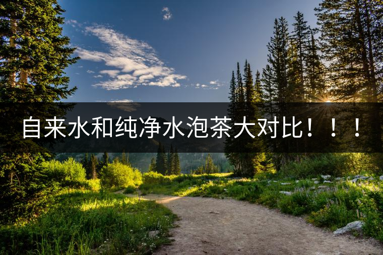 自來水和純凈水泡茶大對(duì)比?。?！