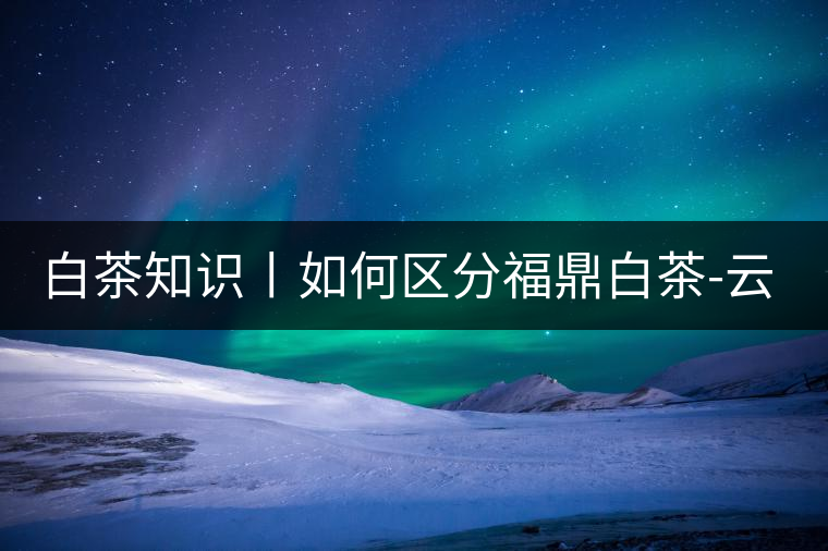 白茶知識丨如何區(qū)分福鼎白茶-云南月光白-安吉白茶 白茶知識丨如何區(qū)分福鼎白茶-云南月光白-安吉白茶