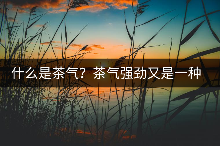 什么是茶氣？茶氣強(qiáng)勁又是一種怎樣的體驗(yàn)？