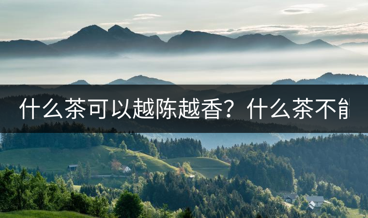 什么茶可以越陳越香？什么茶不能？