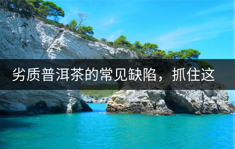 劣質普洱茶的常見缺陷，抓住這三個特征，拒絕劣質茶！