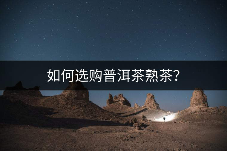 如何選購普洱茶熟茶？