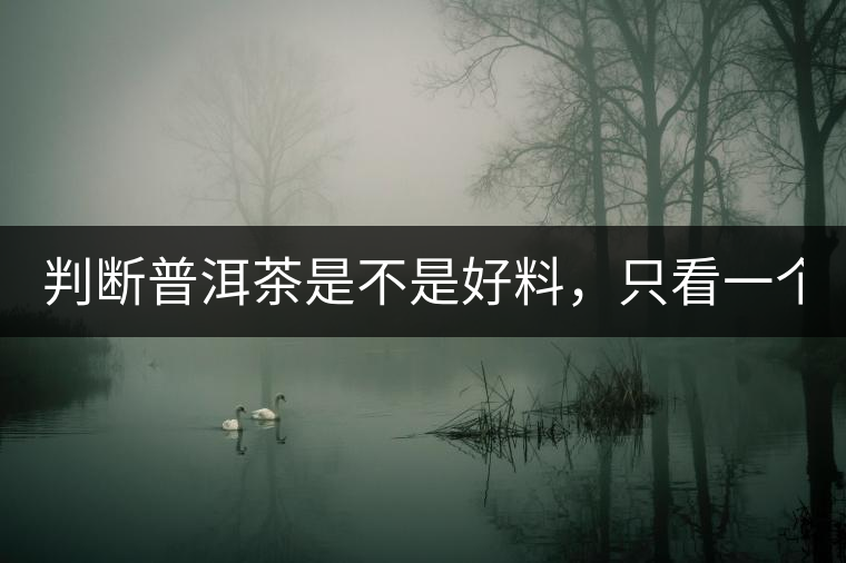 判斷普洱茶是不是好料，只看一個(gè)地方！