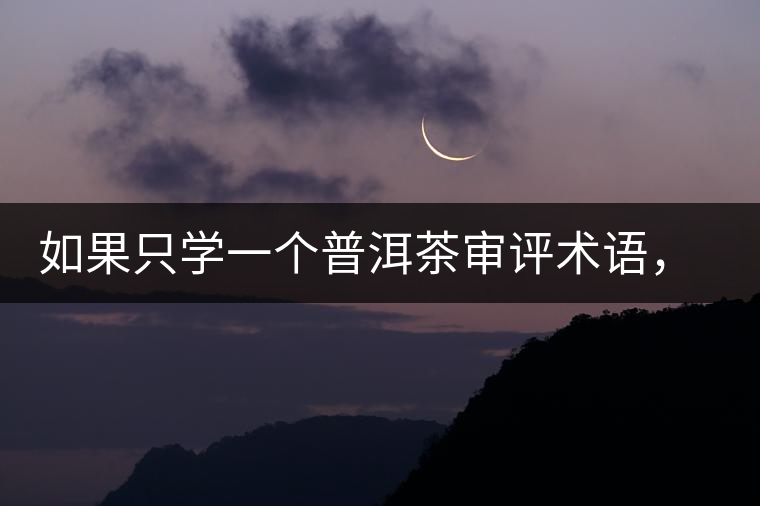 如果只學一個普洱茶審評術(shù)語，那應該是什么？