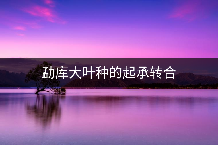 勐庫(kù)大葉種的起承轉(zhuǎn)合 勐庫(kù)大葉種的起承轉(zhuǎn)合