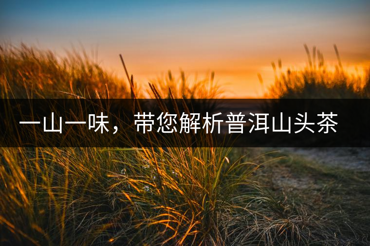 一山一味，帶您解析普洱山頭茶的密碼究竟是什么？