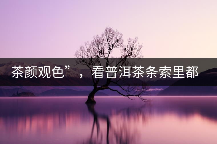 茶顏觀色”，看普洱茶條索里都蘊含著怎樣的“密碼”？