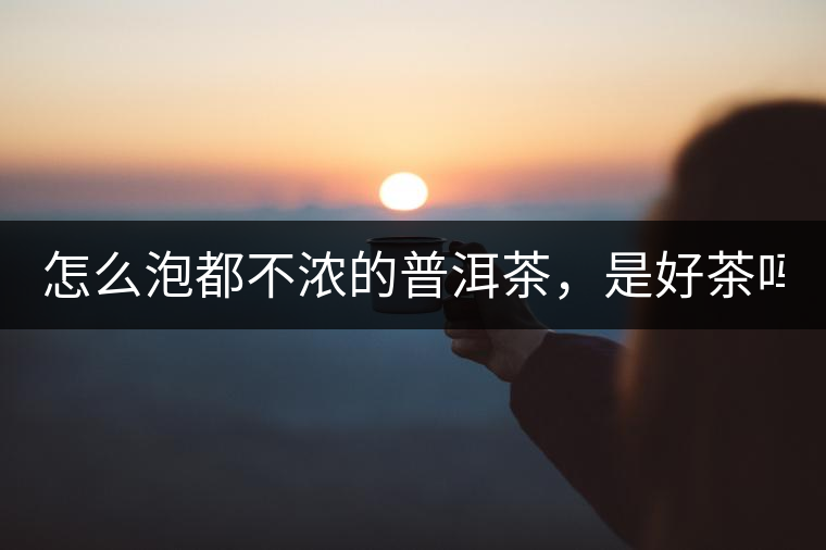 怎么泡都不濃的普洱茶，是好茶嗎？