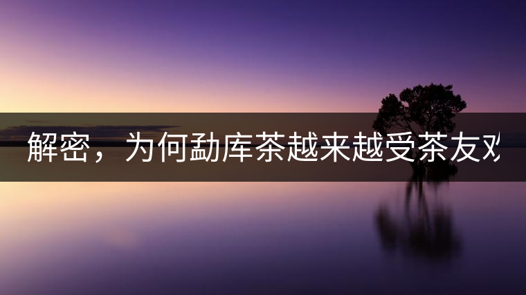 解密，為何勐庫茶越來越受茶友歡迎！