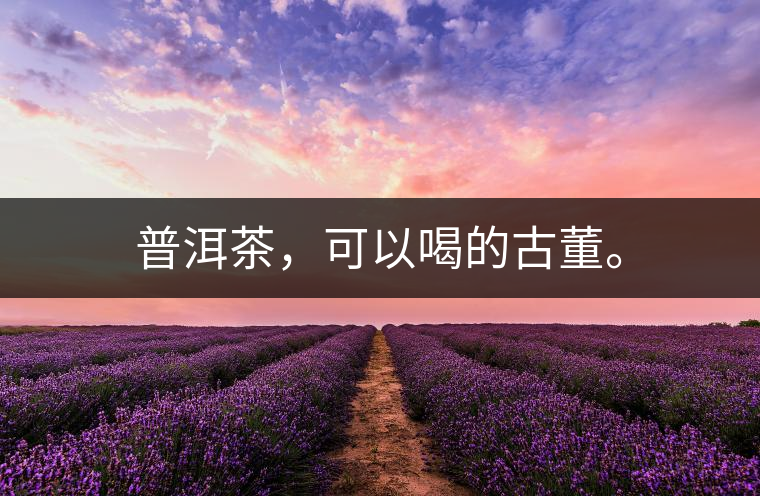 普洱茶，可以喝的古董。