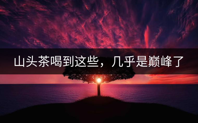 山頭茶喝到這些，幾乎是巔峰了