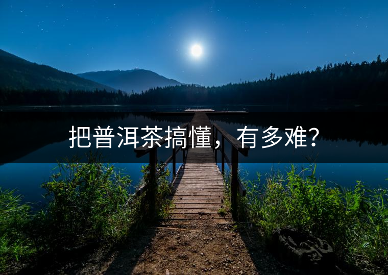 把普洱茶搞懂，有多難？