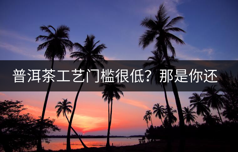 普洱茶工藝門檻很低？那是你還沒有參透工藝與自然之間的奧秘！