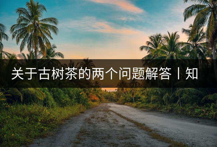 關(guān)于古樹茶的兩個(gè)問題解答丨知識(shí)