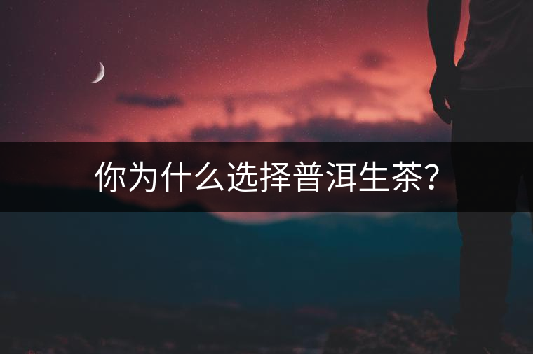 你為什么選擇普洱生茶？