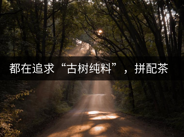都在追求“古樹純料”，拼配茶真的不如純料的？