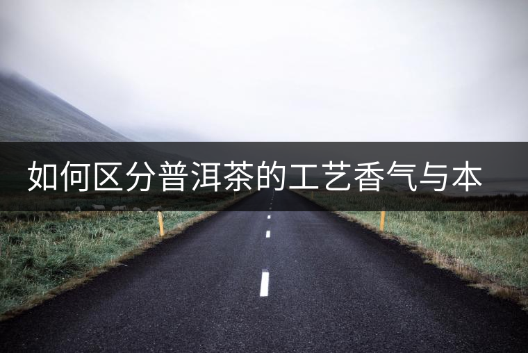 如何區(qū)分普洱茶的工藝香氣與本質香氣 如何區(qū)分普洱茶的工藝香氣與本質香氣