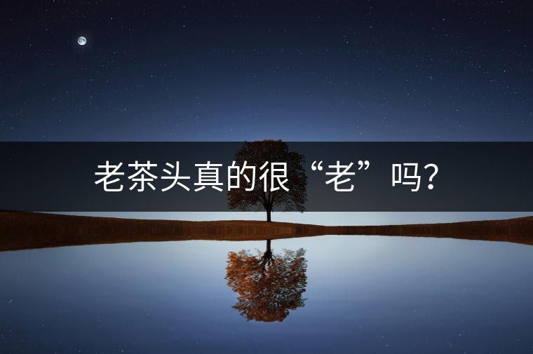 老茶頭真的很“老”嗎？