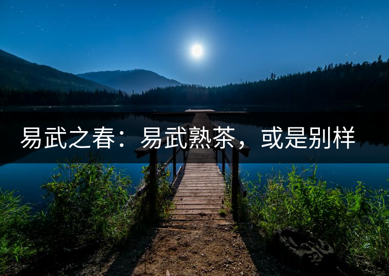 易武之春：易武熟茶，或是別樣風(fēng)采丨賞鑒