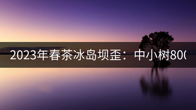 2023年春茶冰島壩歪：中小樹800元／公斤，古樹1400-1600元／公斤