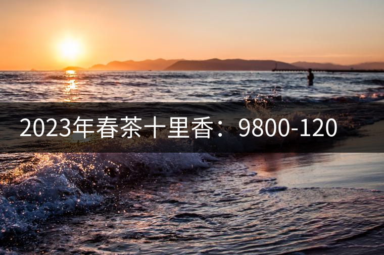 2023年春茶十里香：9800-12000元／公斤，十里香紅茶：9800-12000元／公斤