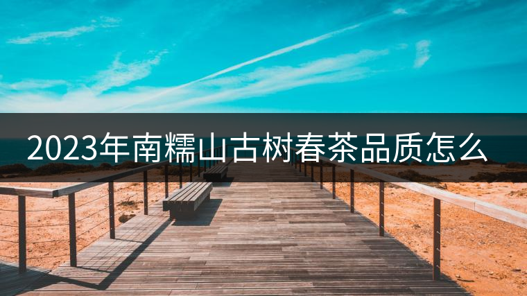 2023年南糯山古樹春茶品質(zhì)怎么樣？