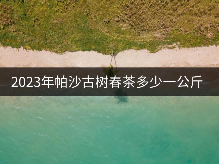 2023年帕沙古樹春茶多少一公斤？