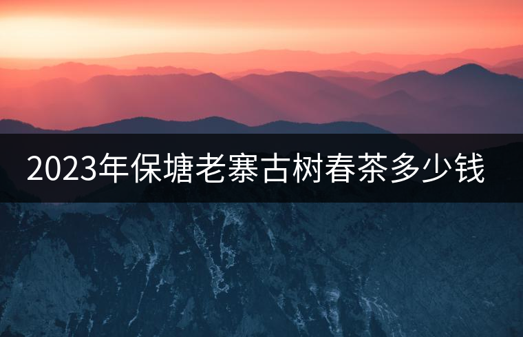 2023年保塘老寨古樹春茶多少錢一公斤？