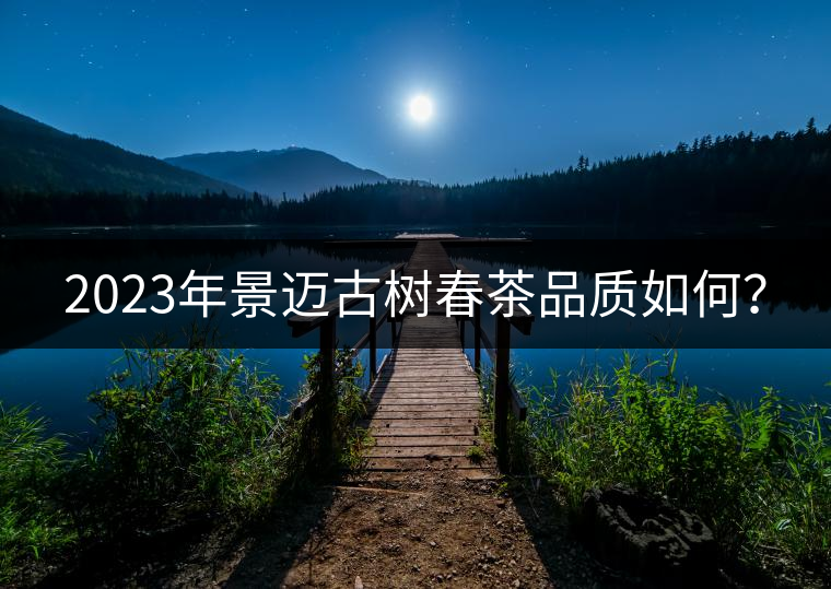 2023年景邁古樹(shù)春茶品質(zhì)如何？