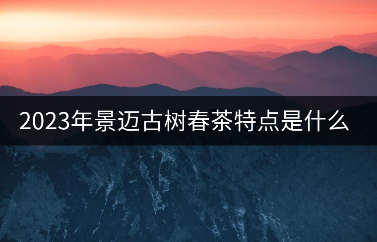 2023年景邁古樹春茶特點是什么？