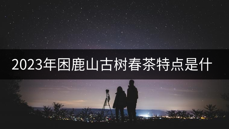 2023年困鹿山古樹(shù)春茶特點(diǎn)是什么？