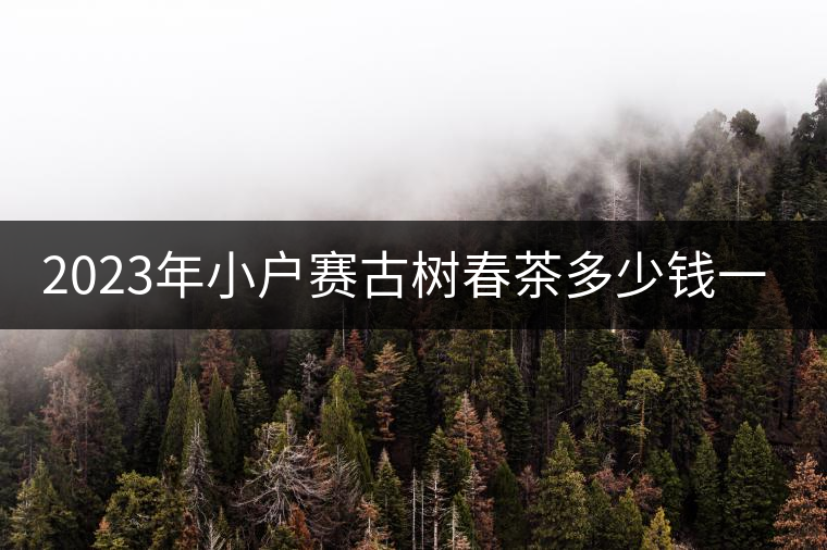 2023年小戶賽古樹(shù)春茶多少錢(qián)一公斤？