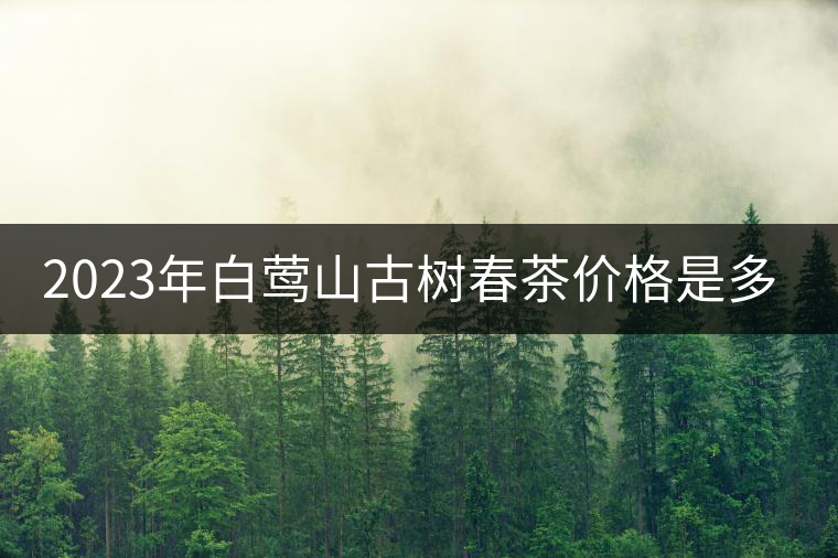 2023年白鶯山古樹春茶價(jià)格是多少？