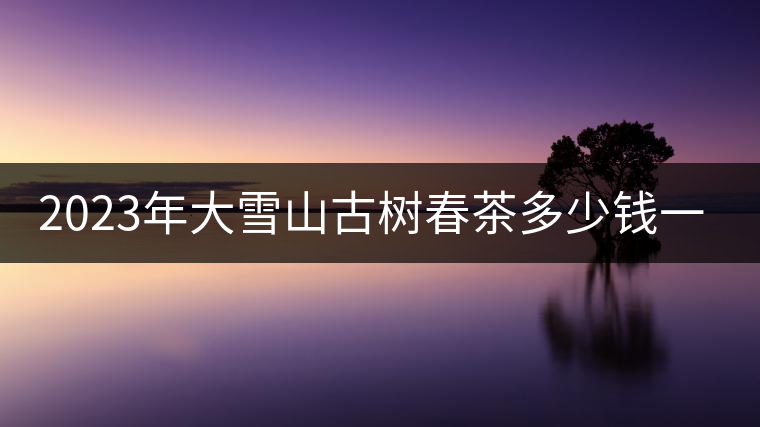 2023年大雪山古樹春茶多少錢一公斤？