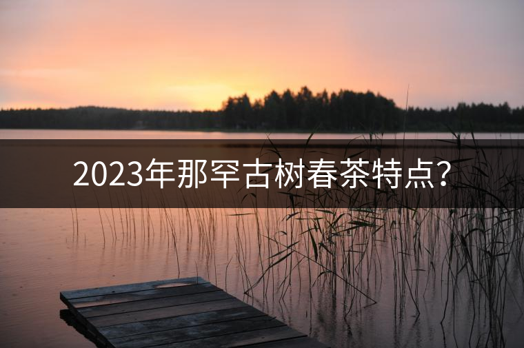 2023年那罕古樹春茶特點？