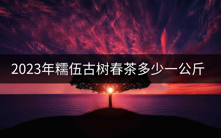 2023年糯伍古樹春茶多少一公斤？