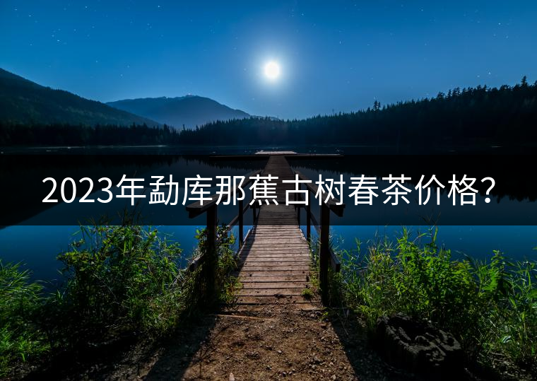2023年勐庫那蕉古樹春茶價格？